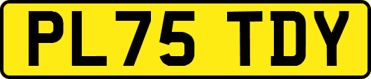 PL75TDY