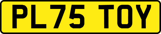 PL75TOY