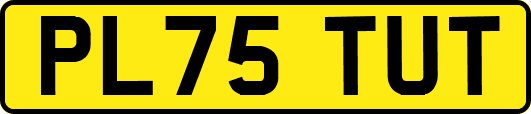 PL75TUT