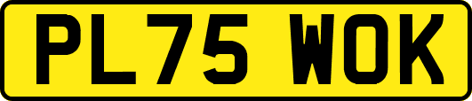 PL75WOK