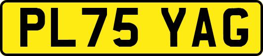 PL75YAG