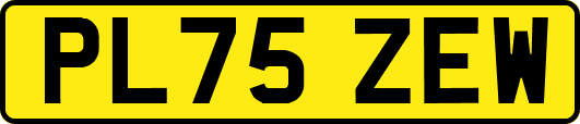 PL75ZEW