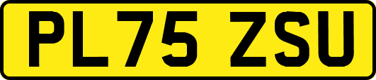 PL75ZSU