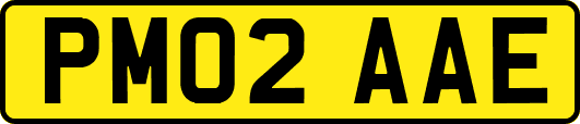 PM02AAE
