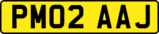 PM02AAJ