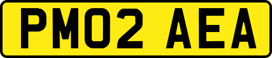 PM02AEA