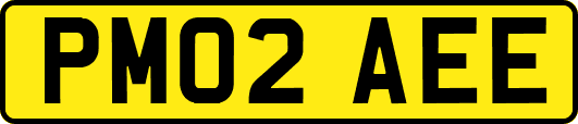 PM02AEE