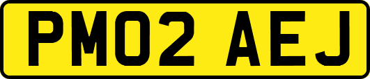 PM02AEJ