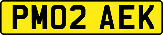 PM02AEK