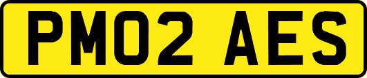 PM02AES
