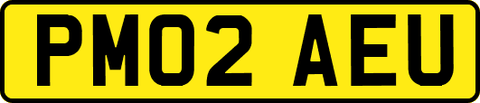 PM02AEU