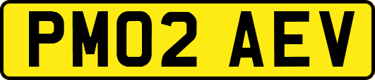 PM02AEV