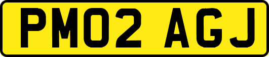 PM02AGJ