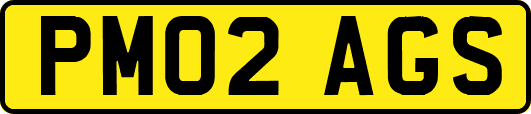 PM02AGS