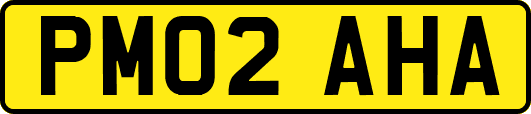 PM02AHA
