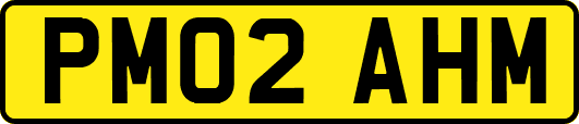 PM02AHM