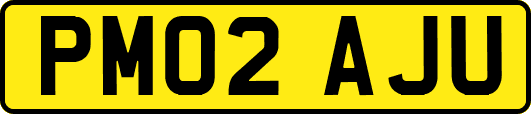 PM02AJU
