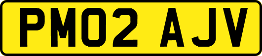 PM02AJV