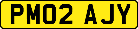 PM02AJY