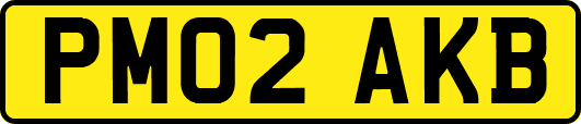 PM02AKB