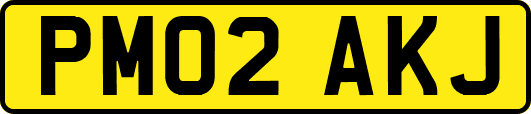 PM02AKJ
