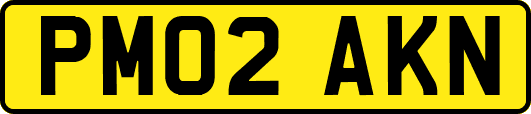 PM02AKN