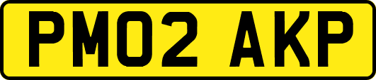 PM02AKP
