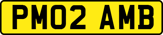 PM02AMB