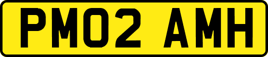 PM02AMH