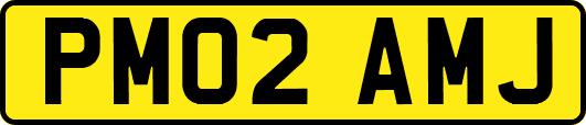 PM02AMJ