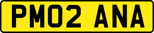 PM02ANA