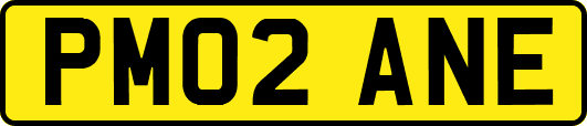 PM02ANE