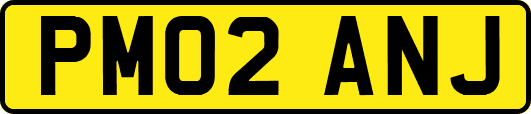 PM02ANJ