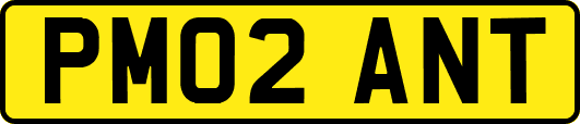 PM02ANT
