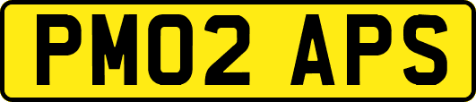 PM02APS