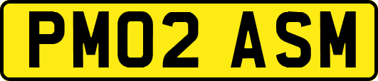 PM02ASM