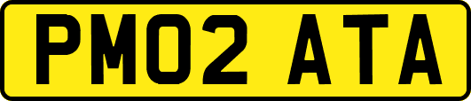PM02ATA