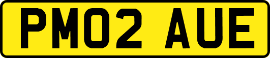 PM02AUE