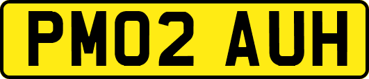 PM02AUH