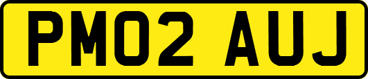 PM02AUJ