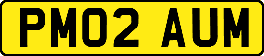 PM02AUM
