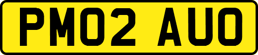 PM02AUO