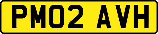 PM02AVH