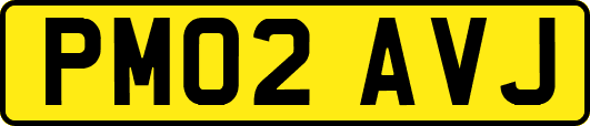 PM02AVJ