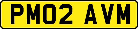 PM02AVM