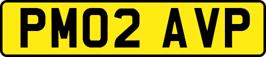PM02AVP