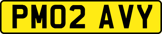 PM02AVY