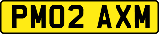 PM02AXM