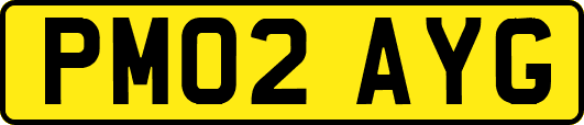 PM02AYG