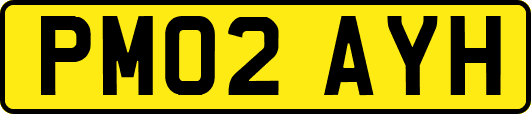 PM02AYH